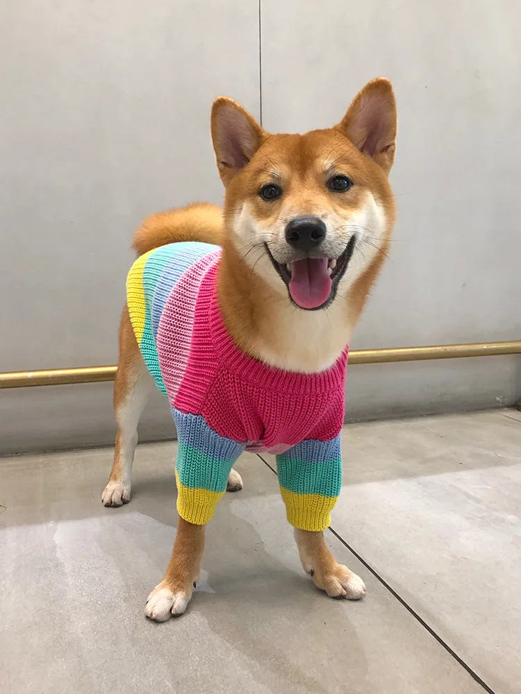 Rainbow wool dog sweater in sizes S to 3XL for dogs from 5-8 kg up to 30-38 kg