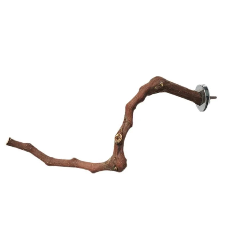 Natural grape wood parrot stand pole for bird cage, random vine shape perch for parrots and parakeets