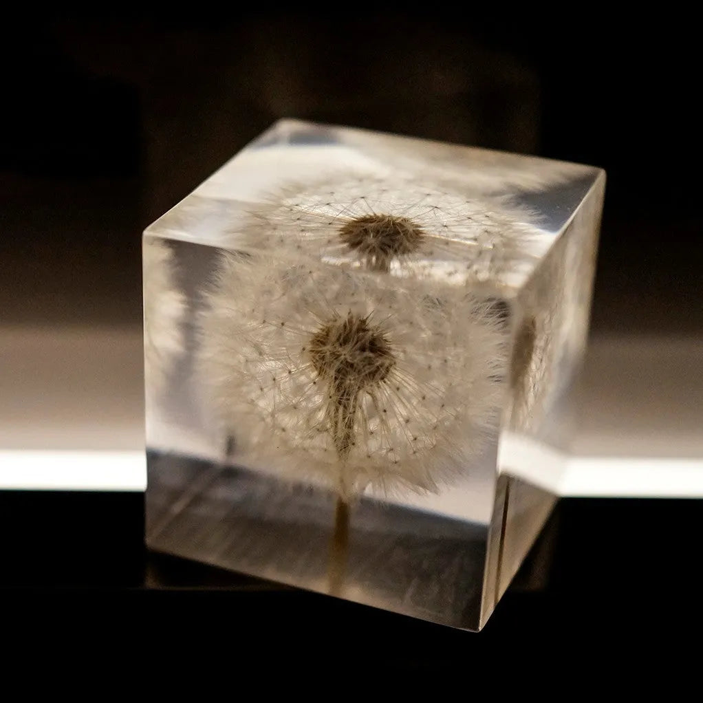 Clear resin cube with preserved dandelion flower beside wooden box and USB charging base