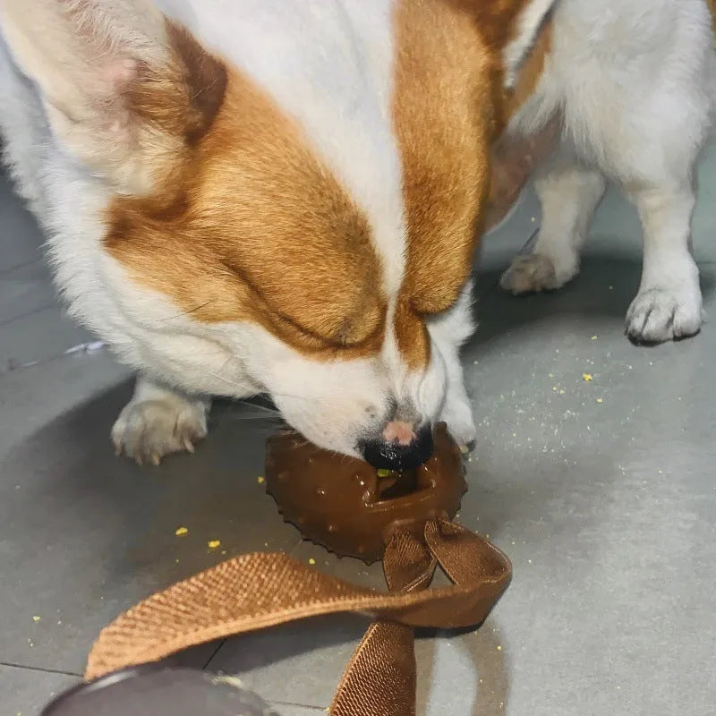 Brown coffee bean-shaped dog chew toy with textured surface and integrated cotton rope knot