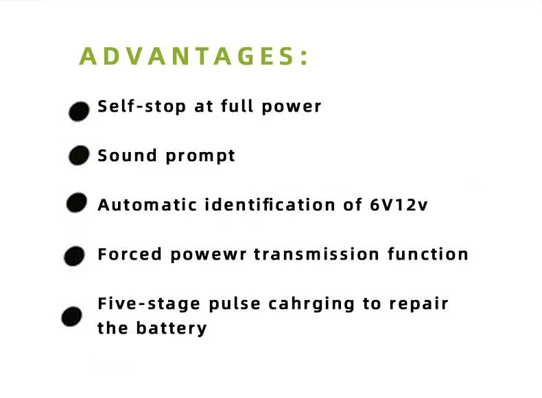 BT 168 model 12V and 24V portable automobile battery charger with American plug for lead acid batteries.