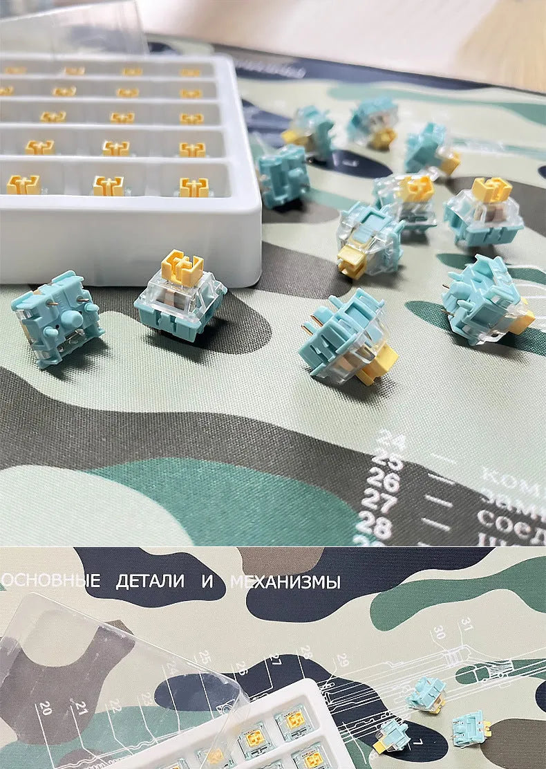 36 Tiger Mo Sea Salt Lemon PRO Mute mechanical keyboard switches in packaging