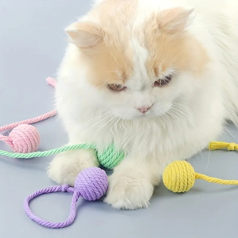 Colourful cat toy ball with attached rope and internal bell mechanism in green, pink, purple, or yellow options