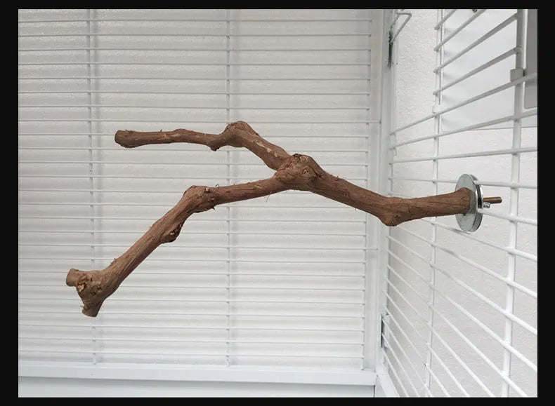 Natural grape wood parrot stand pole for bird cage, random vine shape perch for parrots and parakeets