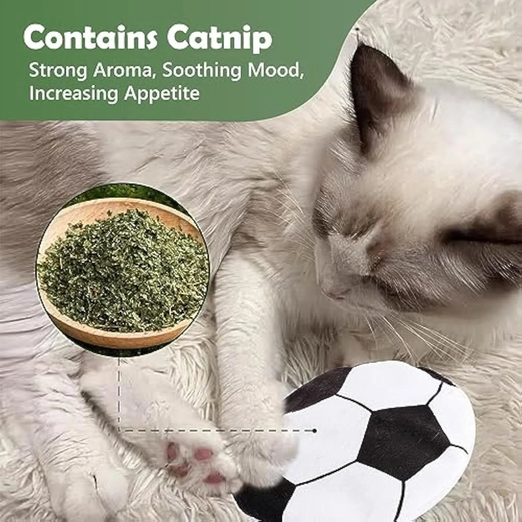 5cm diameter cat toy disc with plush exterior, showing flying disc design for throwing and cat play