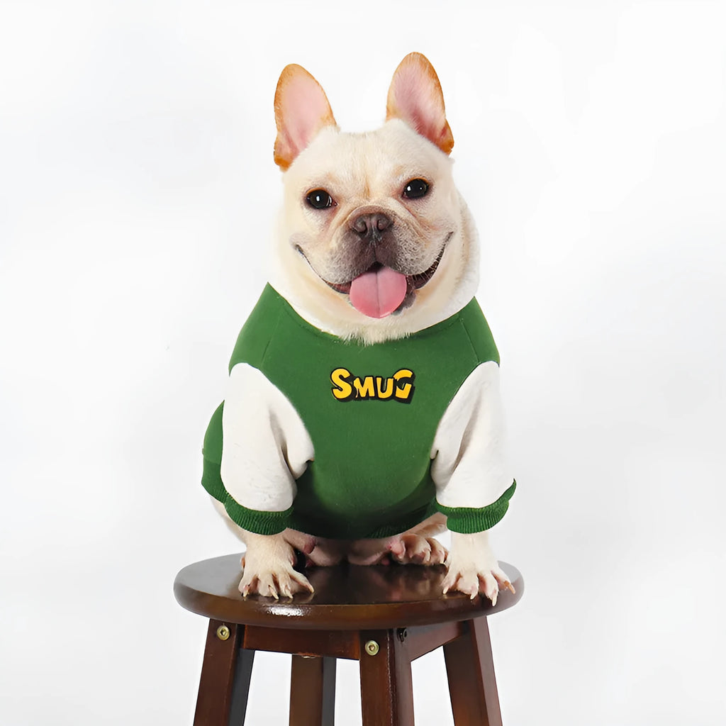 Green cotton dog jacket for autumn and winter wear in sizes L, XL, 2XL, 3XL and 4XL
