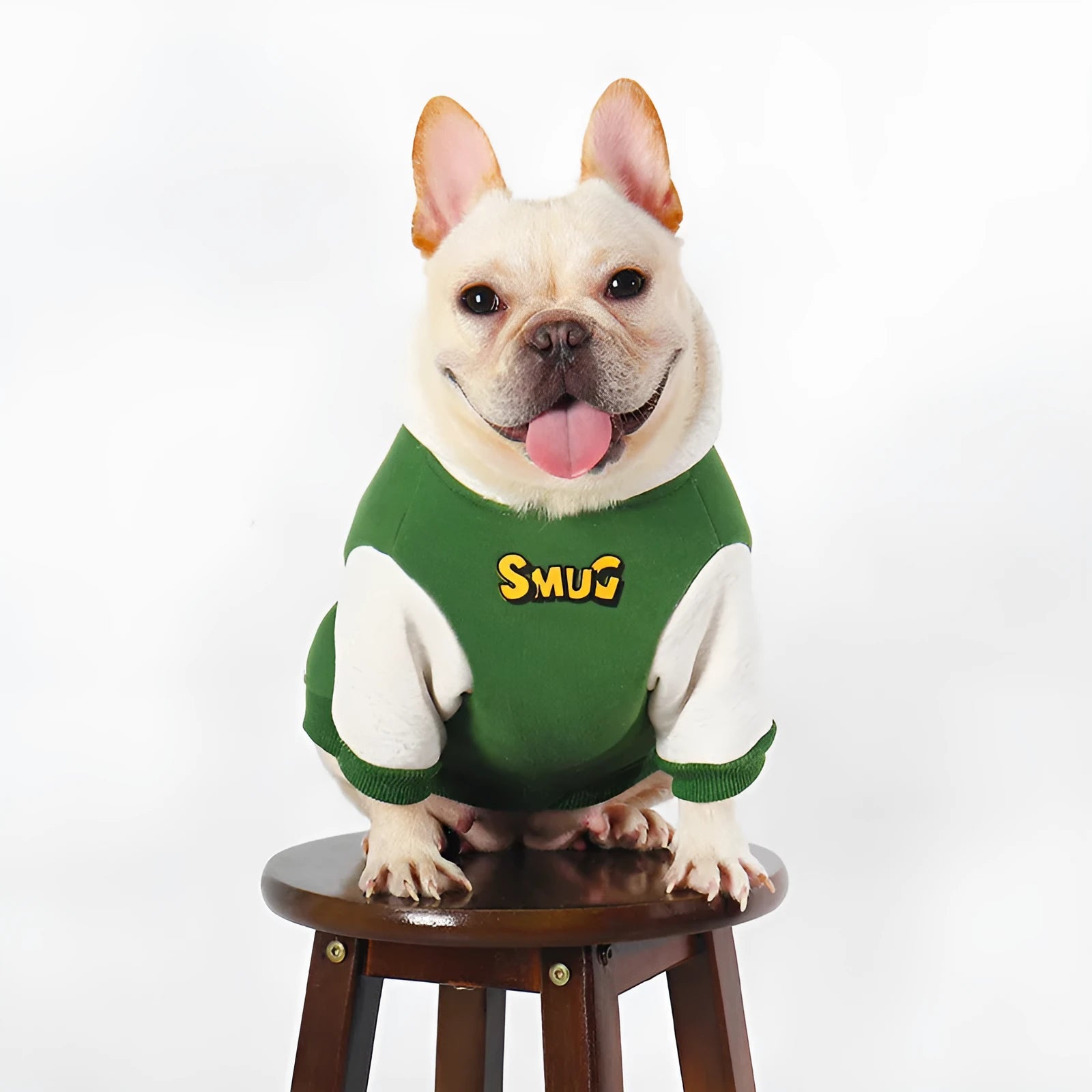 Green cotton dog jacket for autumn and winter wear in sizes L, XL, 2XL, 3XL and 4XL
