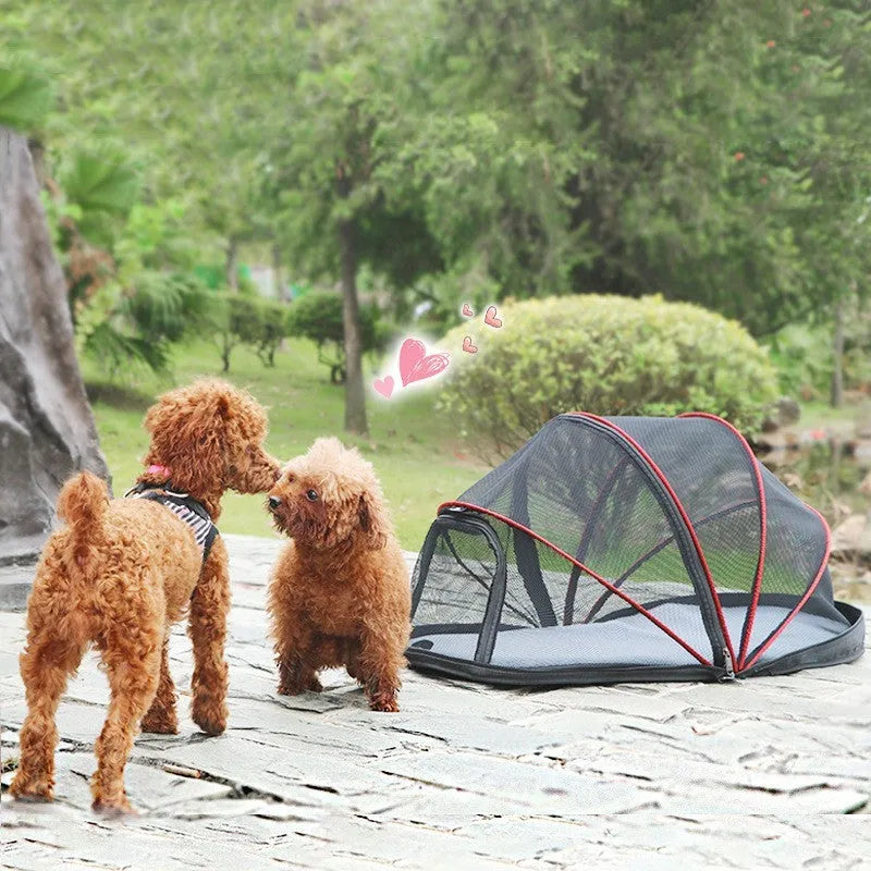 Black half-mesh folding tent for cats showing 50cm dimensions and portable design