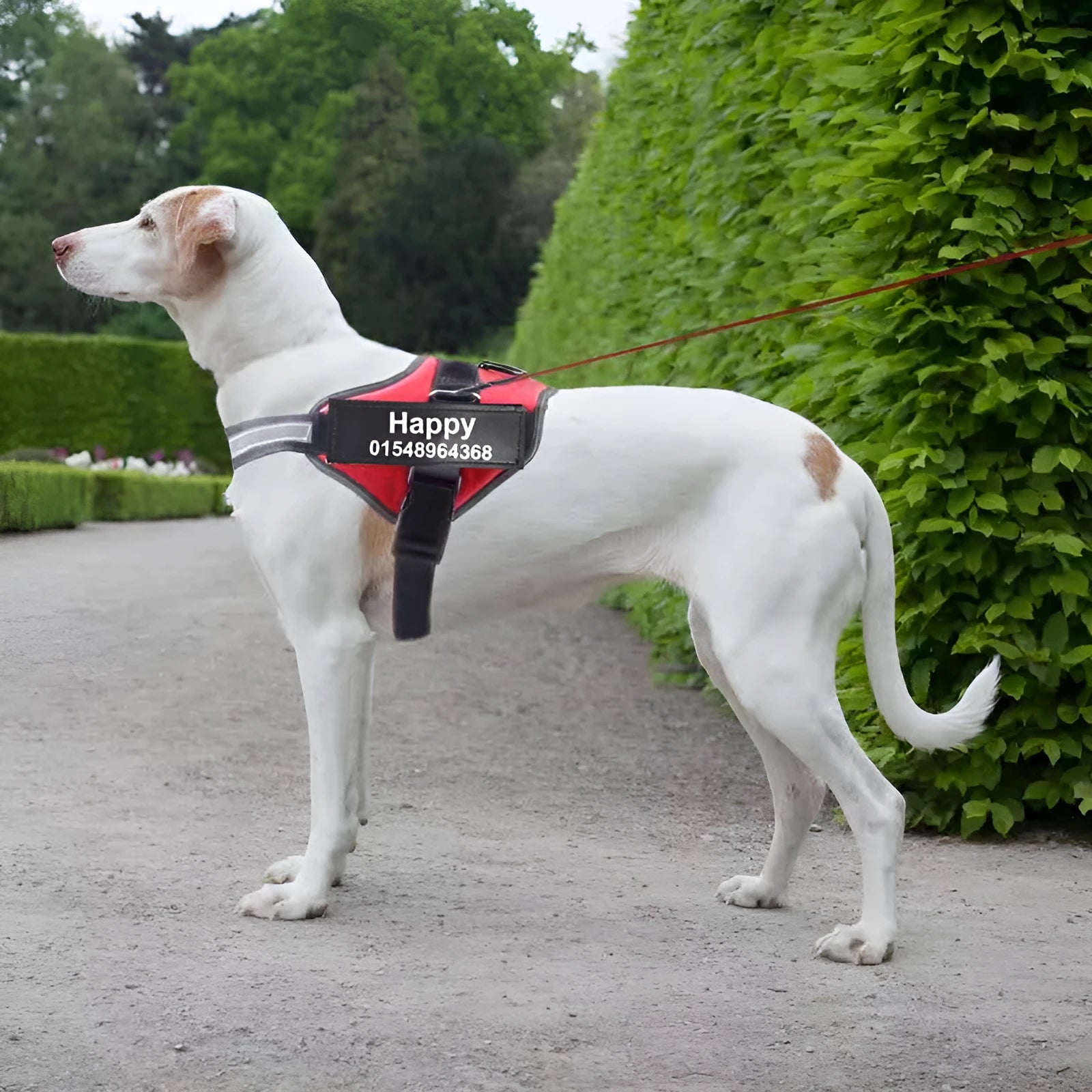 Adjustable nylon dog harness vest with reflective strips and a handle in a selection of colours.