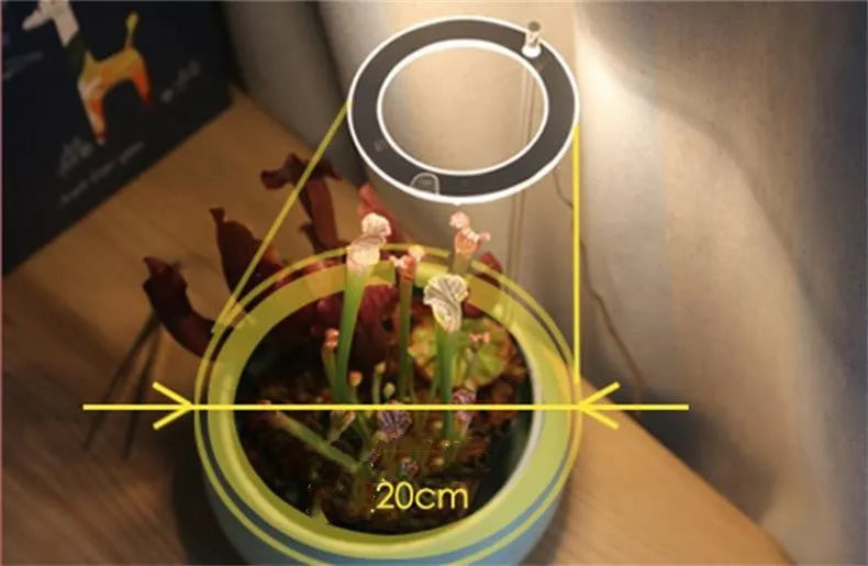 USB-powered LED grow light with transparent housing showing yellow LEDs, attached to 25cm acrylic stick for plant illumination