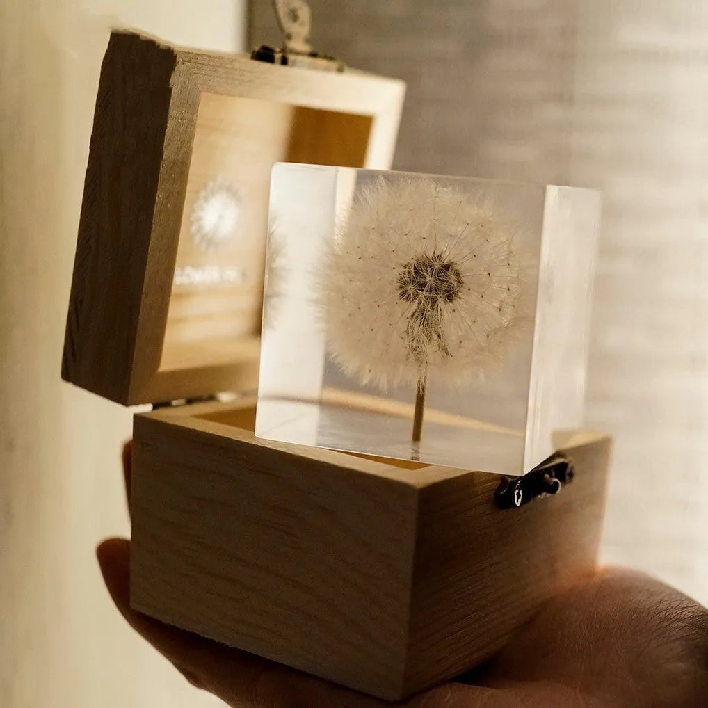 Clear resin cube with preserved dandelion flower beside wooden box and USB charging base