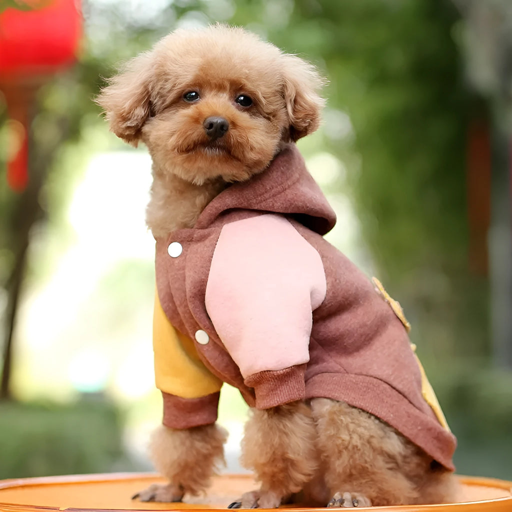 Brown cotton pet sweatshirt for a dog, showing leisure-style design.