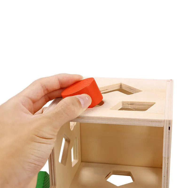 Pine wood matching intelligence box cube toy for ages 1 to 3 years, 530g, in a colour box.