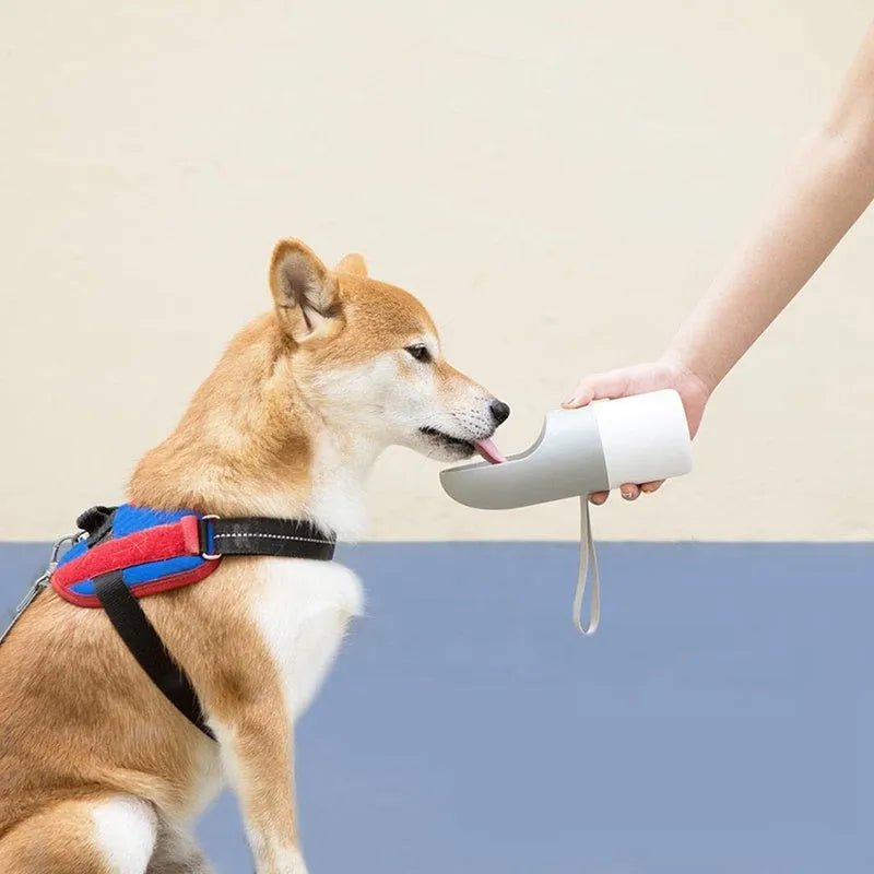 White and grey Moestar Rocket Pet Cup for dogs with 270ml capacity
