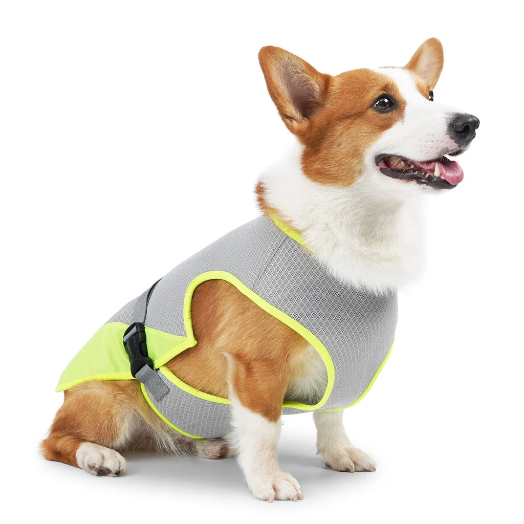 Light Grey polyester dog cooling vest on a medium-sized dog showing chest and back coverage.