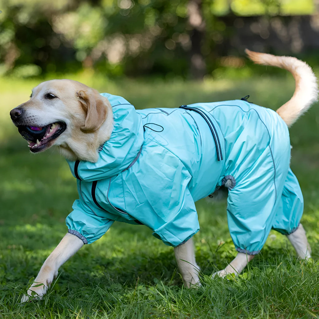 Dog wearing cotton-padded polyester jacket in sporty style available in four colours
