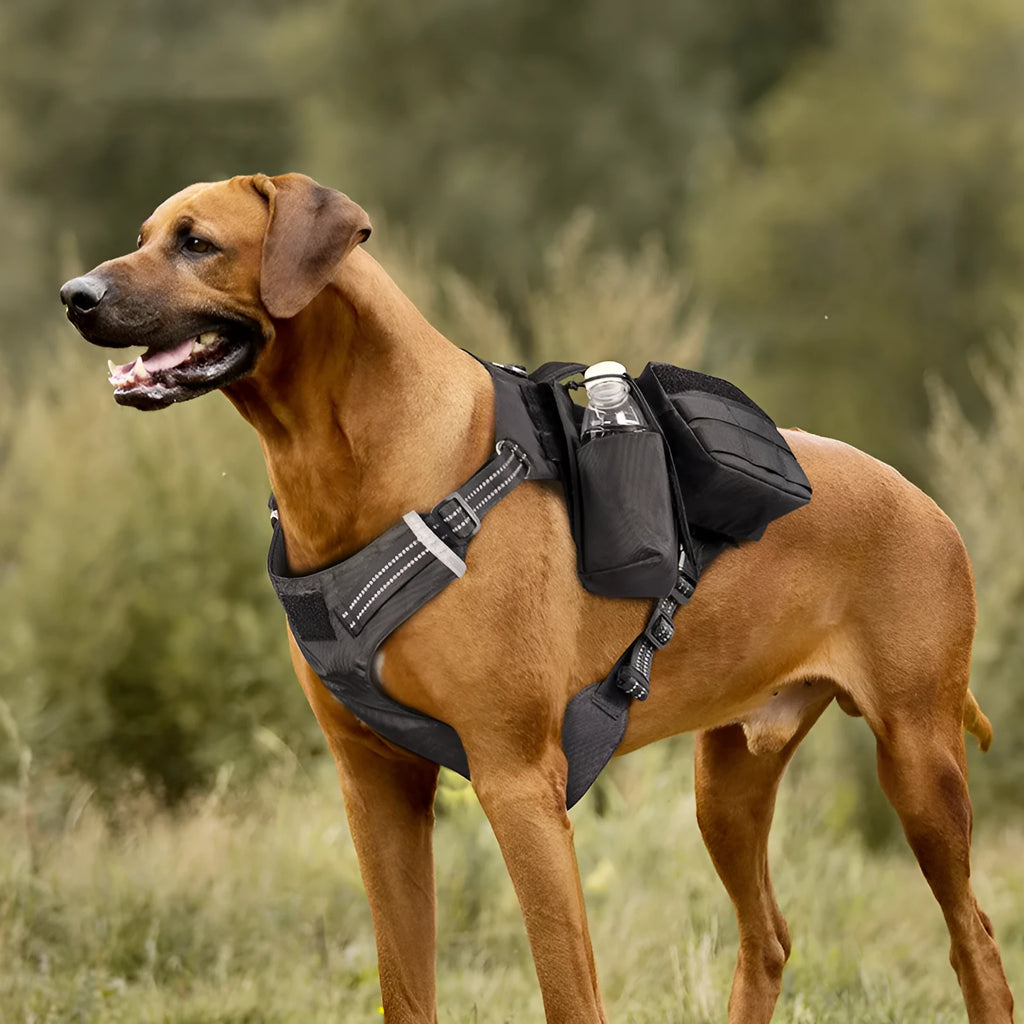 Nylon dog chest strap leash in black or army green, waterproof, sizes M L XL