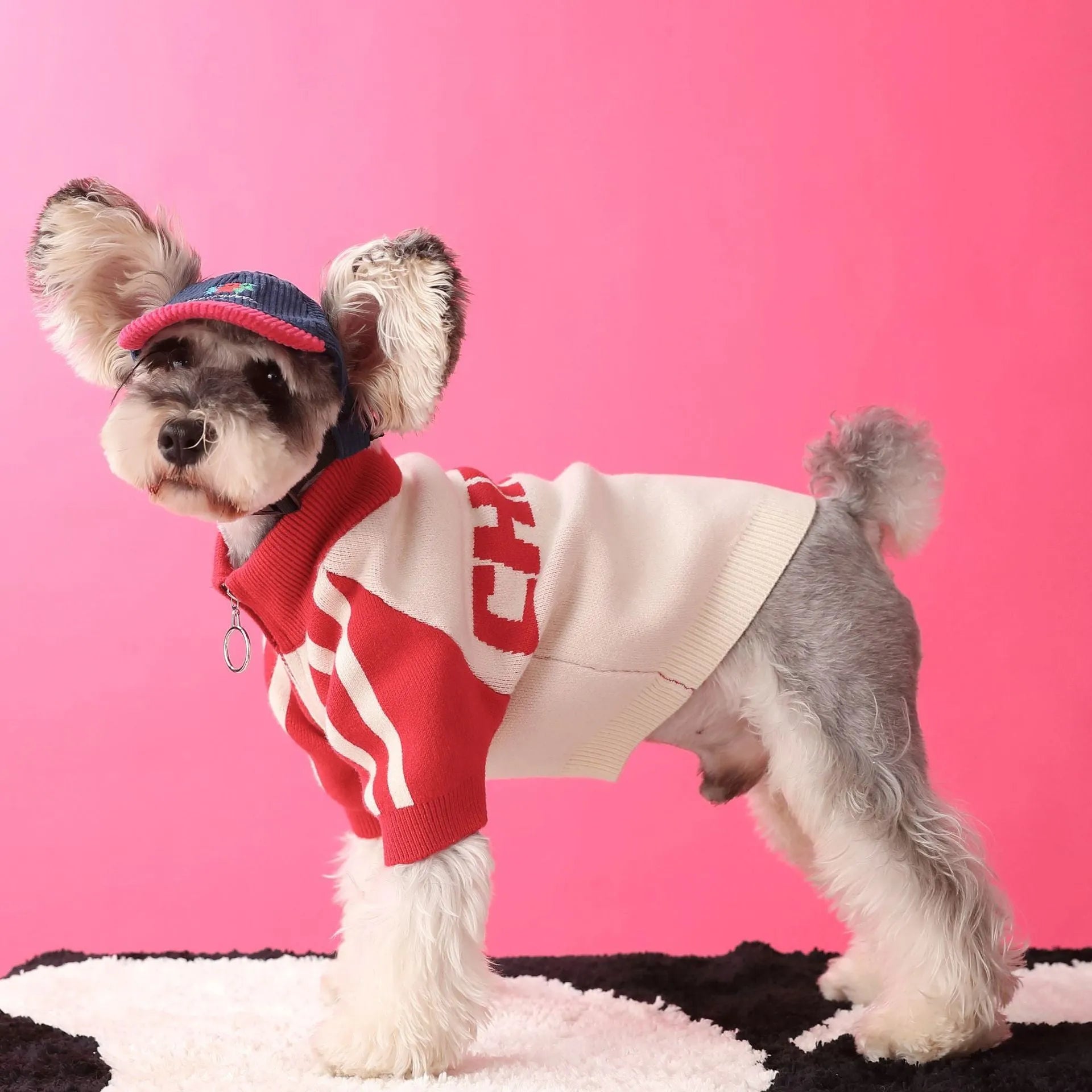 Red wool sports cardigan for puppy dog on size mannequin showing casual knit style
