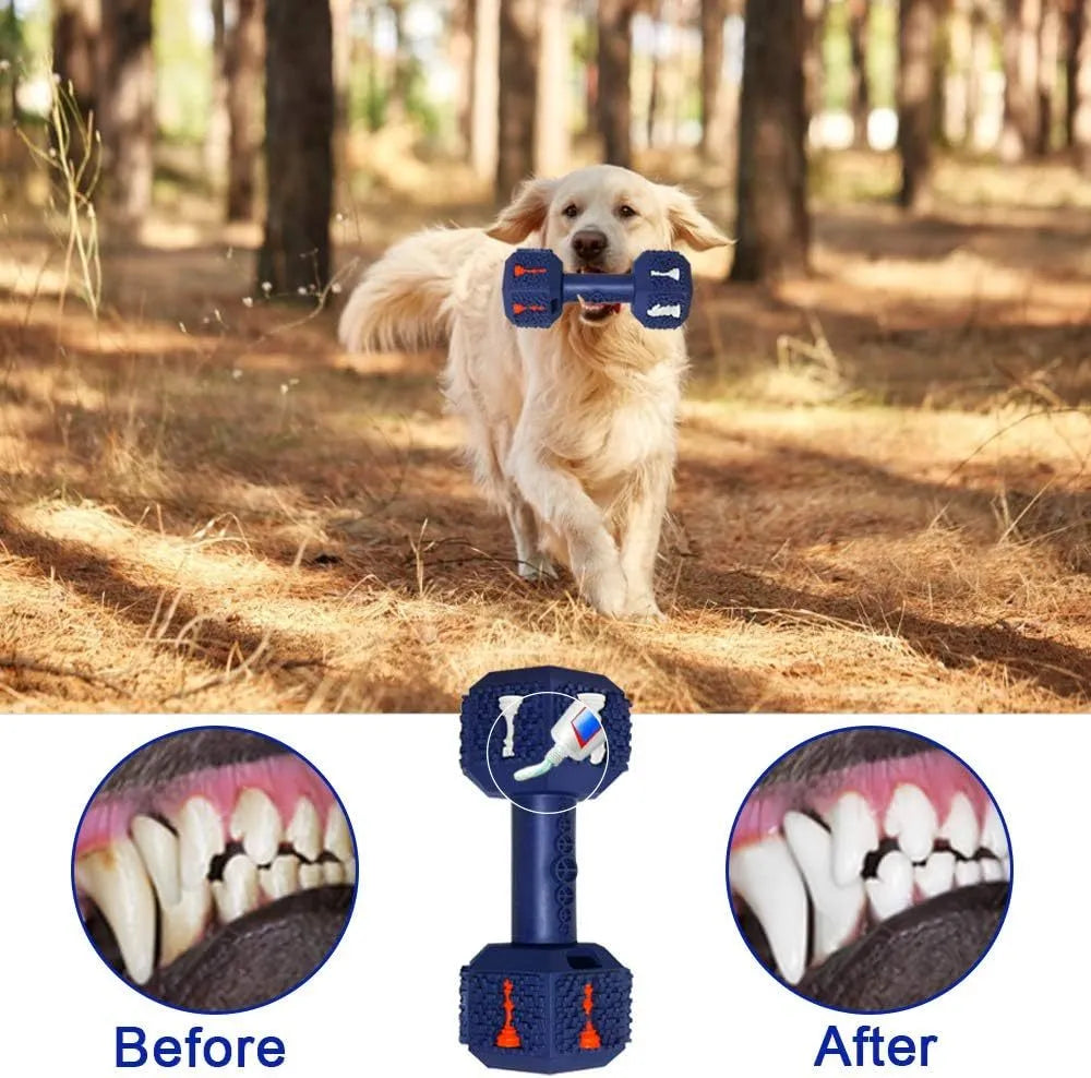 Dumbbell-shaped dog chew toy in black or blue with 3D particles on surface, hollow ends for treats