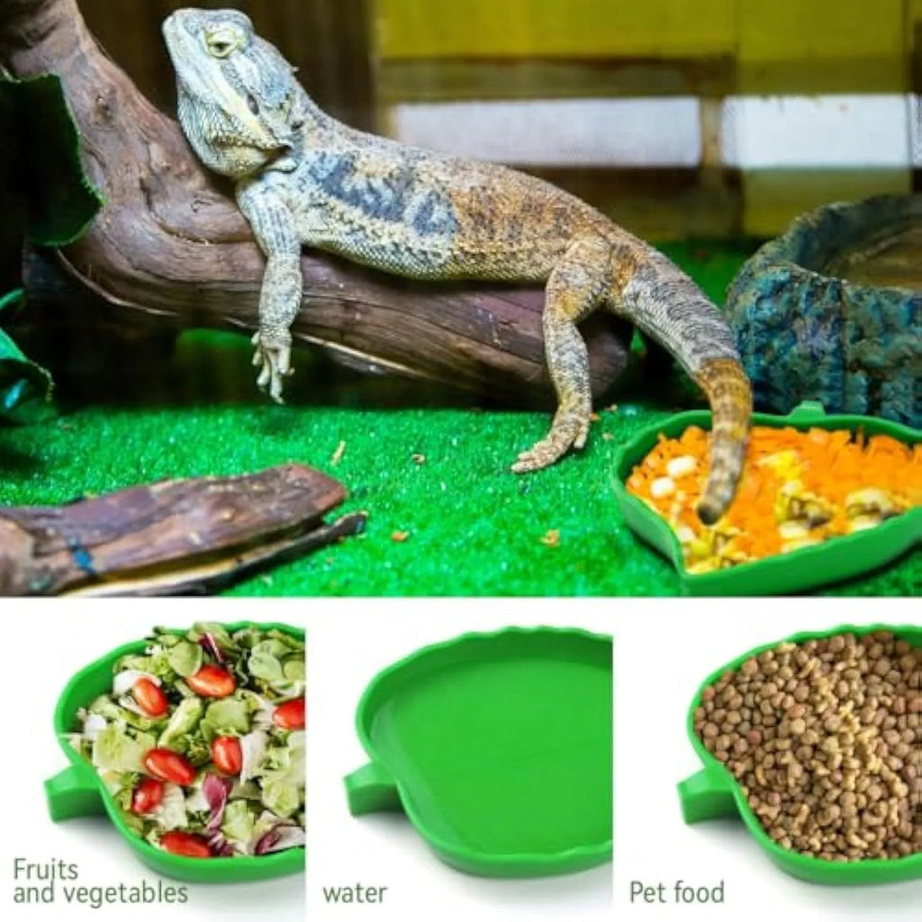 Two leaf-shaped reptile food and water bowls in a set, for tortoise, lizard, bearded dragon or small snake.