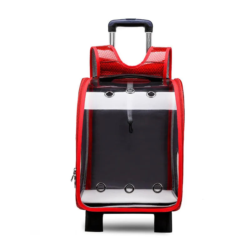 Transparent pet trolley with acrylic cover showing 12 Jin capacity for small dogs and cats with folding shoulder design