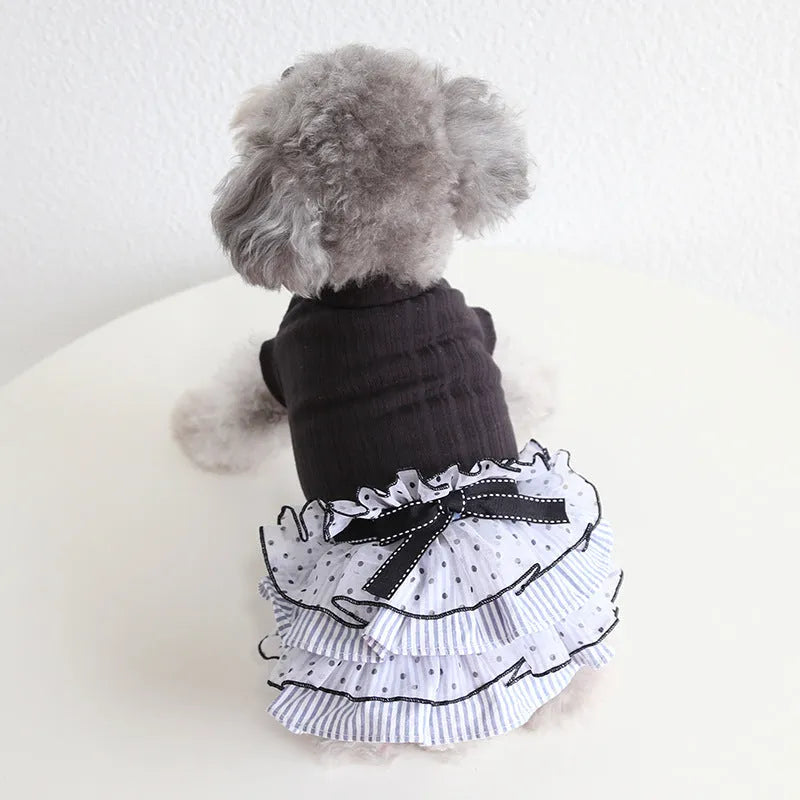 Polka dot lace cake dress pet clothing in princess style with three colour options