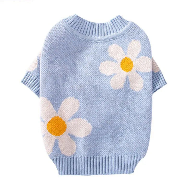 Small dog wearing blue knitted polyester jumper with weight-based sizing for autumn and winter
