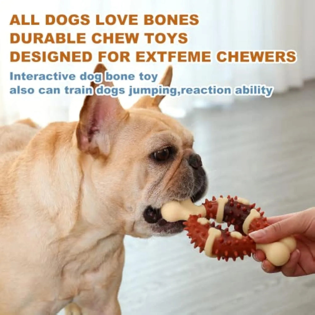 Bone-shaped natural rubber dog toy for teeth grinding in two sizes, 15cm and 12.5cm, on a white background