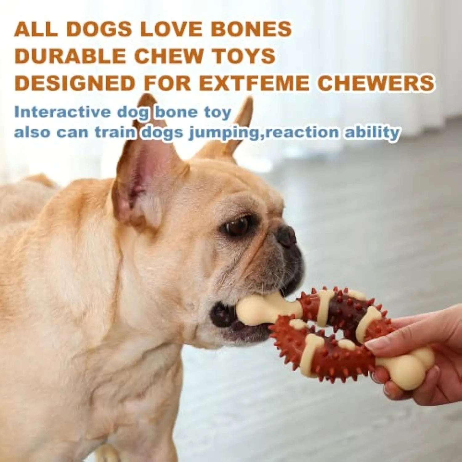 Bone-shaped natural rubber dog toy for teeth grinding in two sizes, 15cm and 12.5cm, on a white background