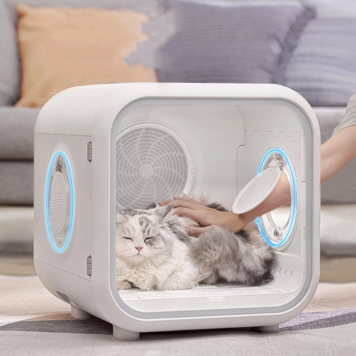 Fully automatic pet drying box in 50L or 62L, 220V, low-noise non-boom style with spiral wire heating.