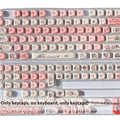 Fragrant Pig key cap with colourful design on PBT plastic, MOA height for universal keyboards