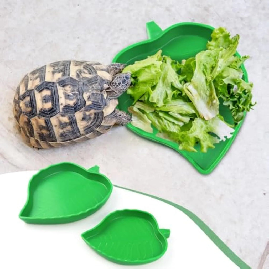Two leaf-shaped reptile food and water bowls in a set, for tortoise, lizard, bearded dragon or small snake.