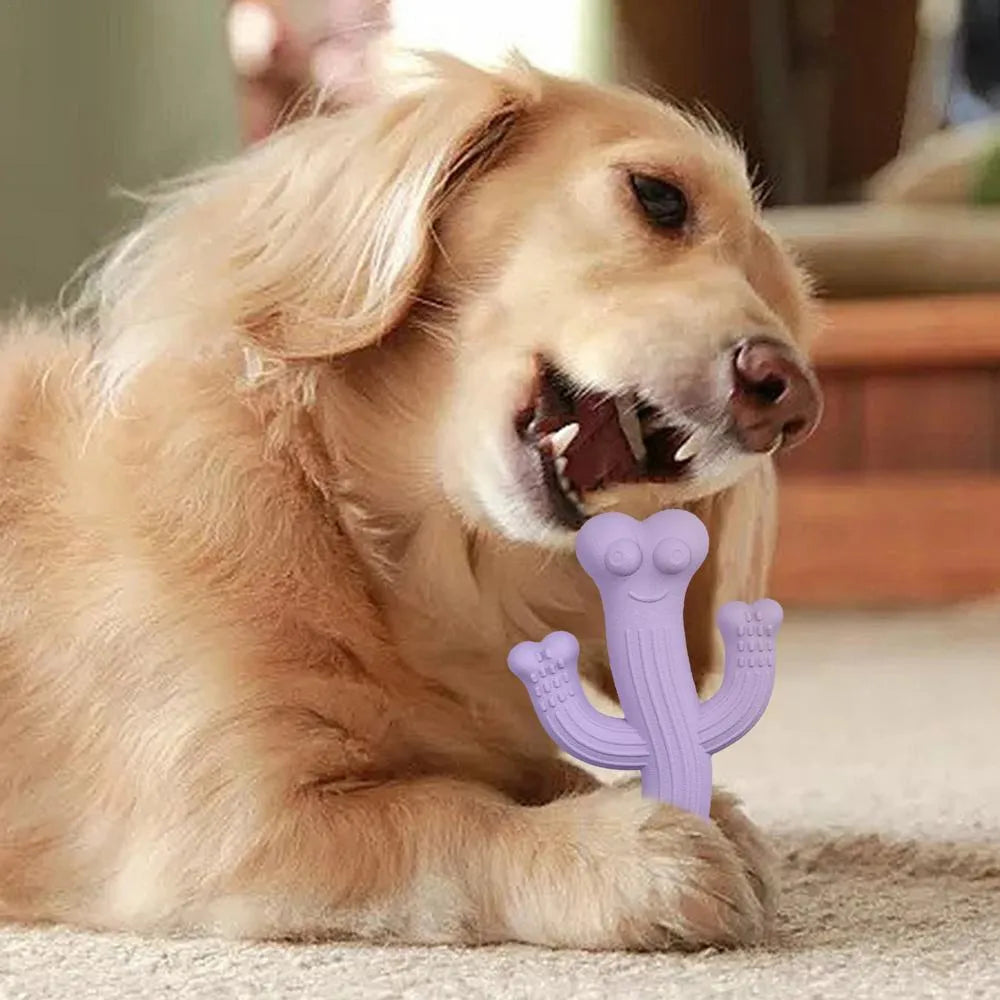 Beige, blue, or purple cactus-shaped dog chew toy made from bamboo fibre and rubber shown in small and large sizes.
