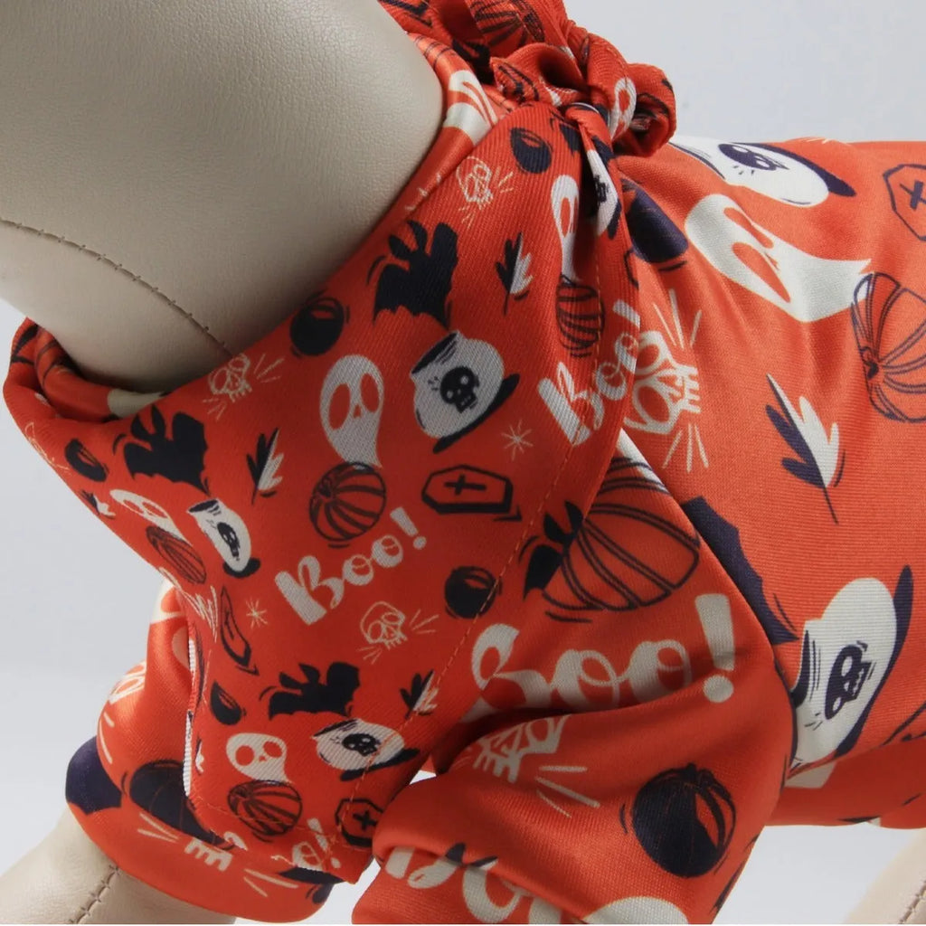 Fleece-lined pet clothes with triangle scarf in autumn winter colours