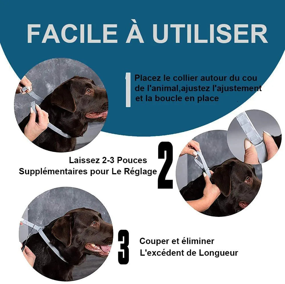 Rainbow-coloured plastic flea and anti-lice collar for cats and dogs, showing 38cm and 62cm size options.