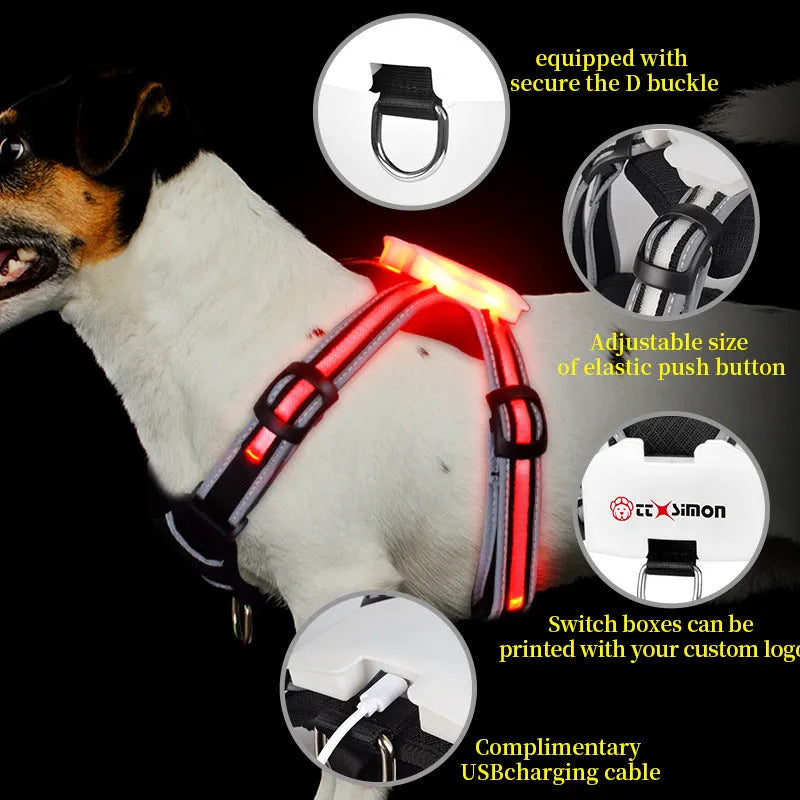 Luminous nylon dog lead with seven-colour LED lights and USB charging cable