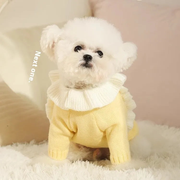 Yellow acrylic dog sweater on a small puppy, showing a casual knitted design.