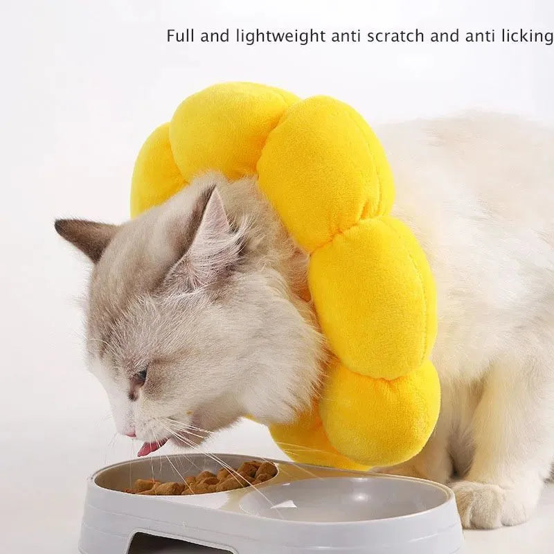 Soft cotton pet recovery collar with sunflower print, shown on a cat, featuring an adjustable band.