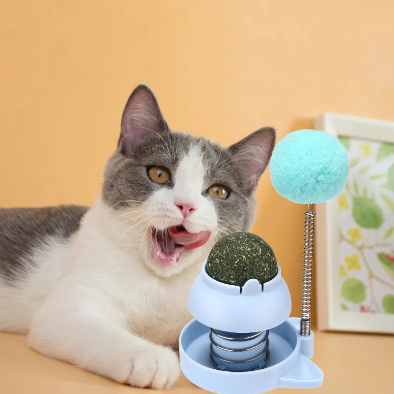 Lucky Cat Licking Music Mint Ball toy showing 55mm diameter mint ball with self-hi mechanism for feline dental care and entertainment