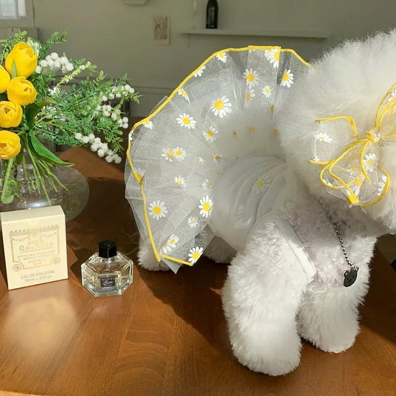 Yellow little daisy pattern dog clothes on canine model with summer thin polyester fabric