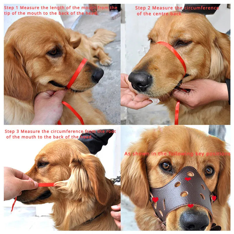 Adjustable dog muzzle silencer for barking and bite prevention on golden retriever