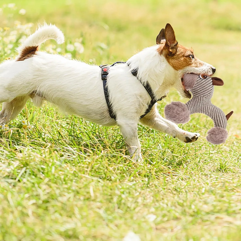 Large dog squeaky plush toy with cotton-reinforced construction for medium to large breed dogs