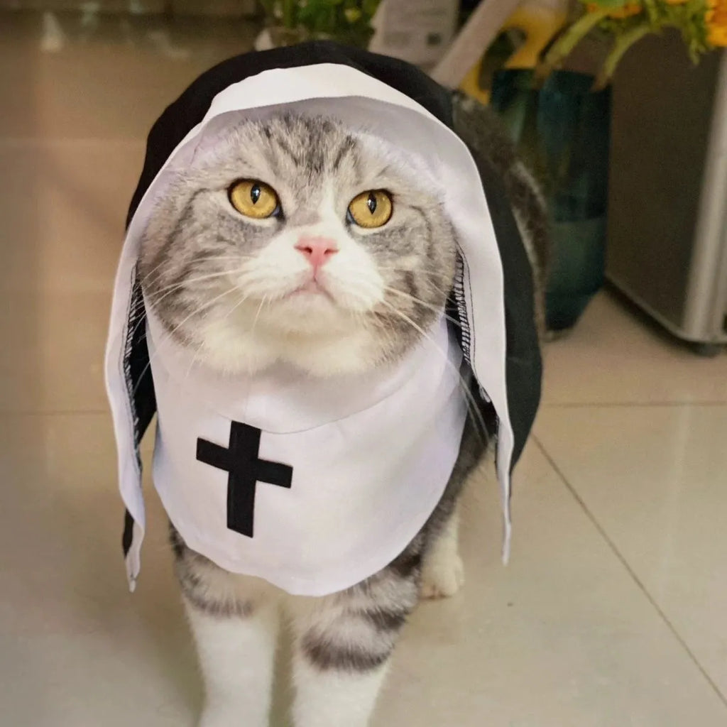 Black and white nun costume cloak on a small dog for Halloween.