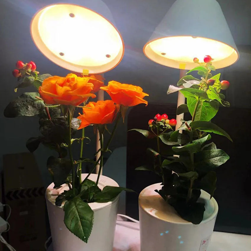 White hydroponic container for soilless desktop plant cultivation with international size regulations