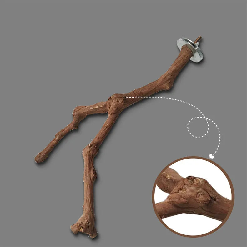 Natural grape wood parrot stand pole for bird cage, random vine shape perch for parrots and parakeets