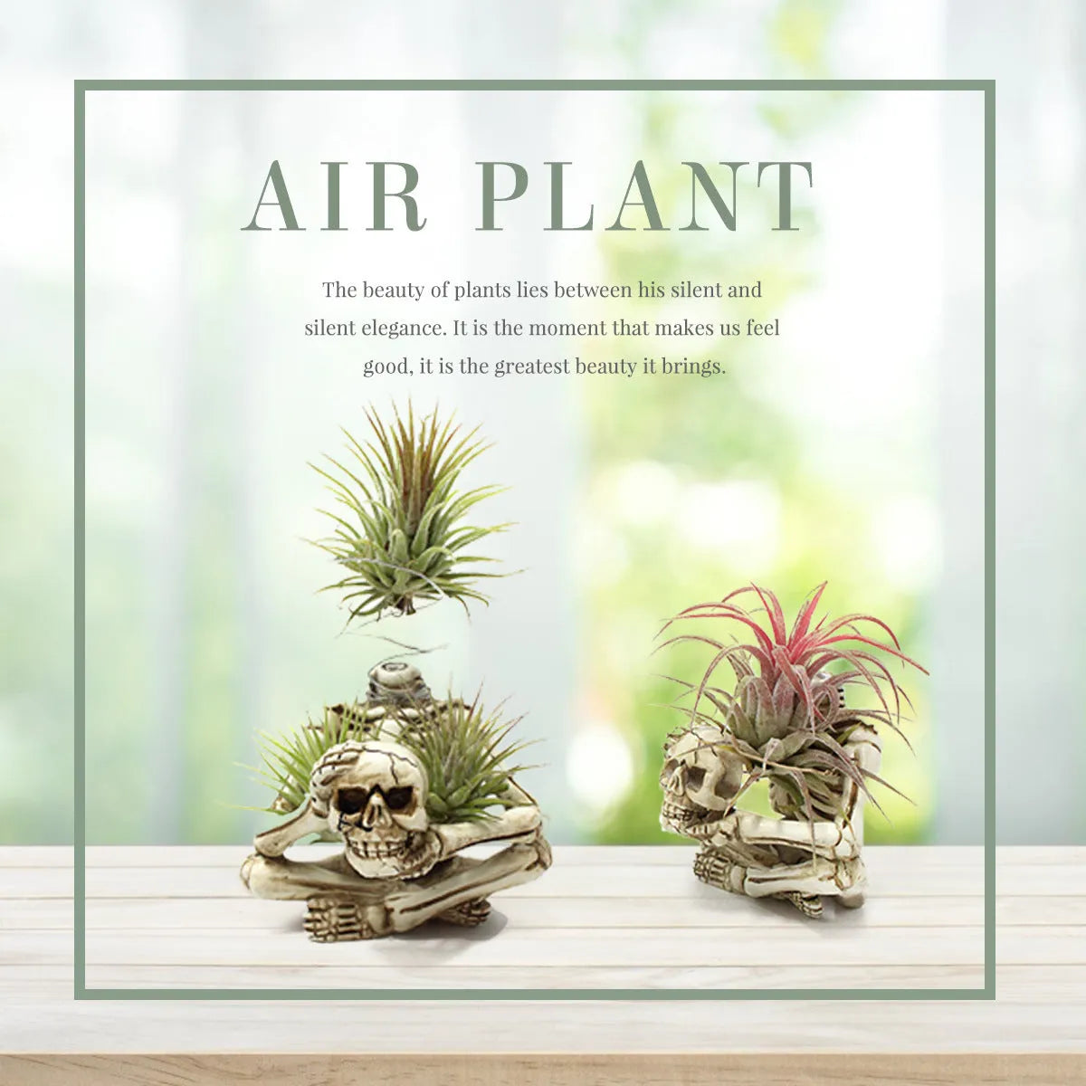 Tillandsia bracket with skull Gothic design in resin, measuring 7x8x12.5cm, featuring breathable soilless plant support