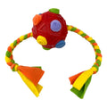 Bite resistant pet sniffing ball dog puzzle toy in assorted colours for treat dispensing and IQ training.