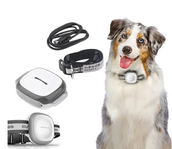 Pet GPS tracker collar locator with IP67 waterproof ABS body, 66x52x44mm, USB charging, blue grey orange