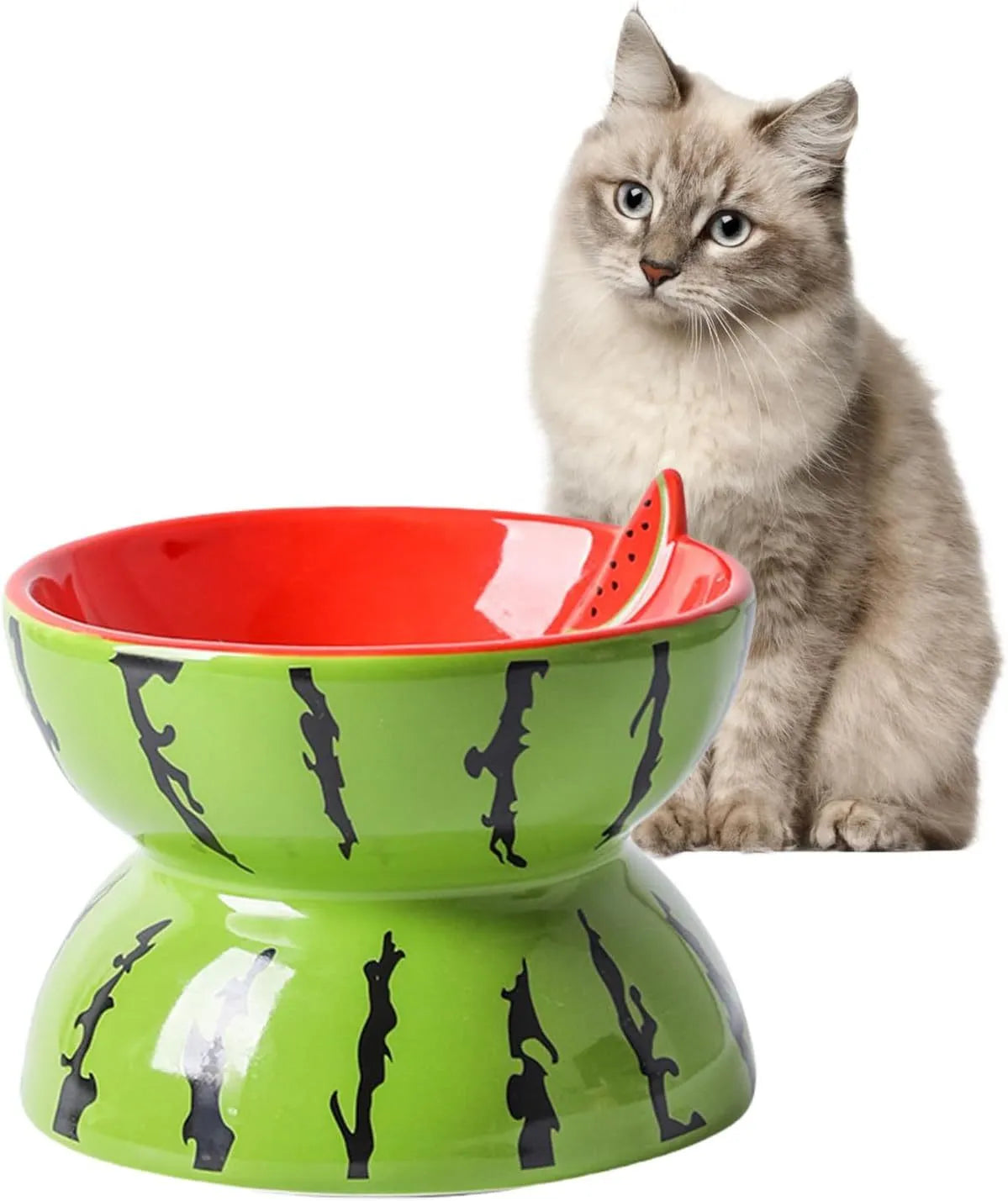 Ceramic raised cat bowl with tilted design, 5-inch height, and patterned surface for indoor pets