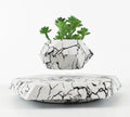 Marble-coloured levitating plant pot floating and rotating with magnetic technology for bonsai or small plants